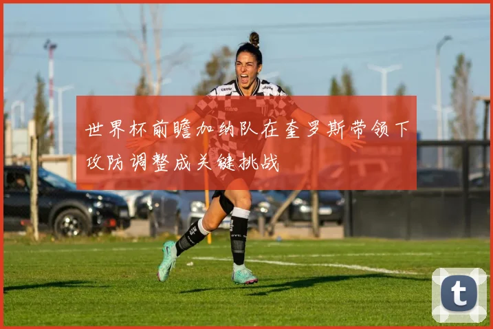 世界杯前瞻加纳队在奎罗斯带领下攻防调整成关键挑战