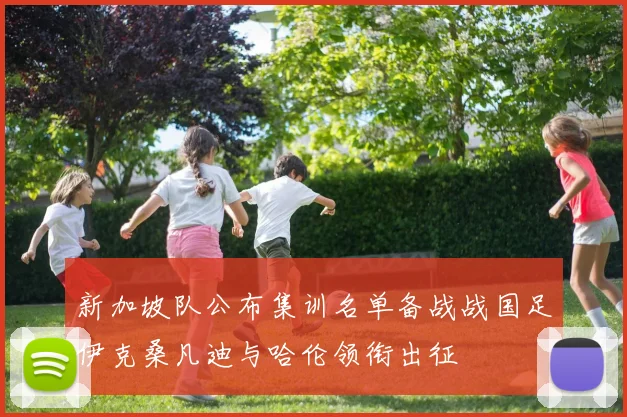 新加坡队公布集训名单备战战国足伊克桑凡迪与哈伦领衔出征